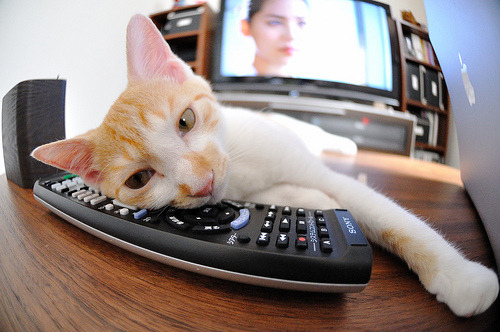 跨界之王，当足球心脏在NBA总决赛搏动