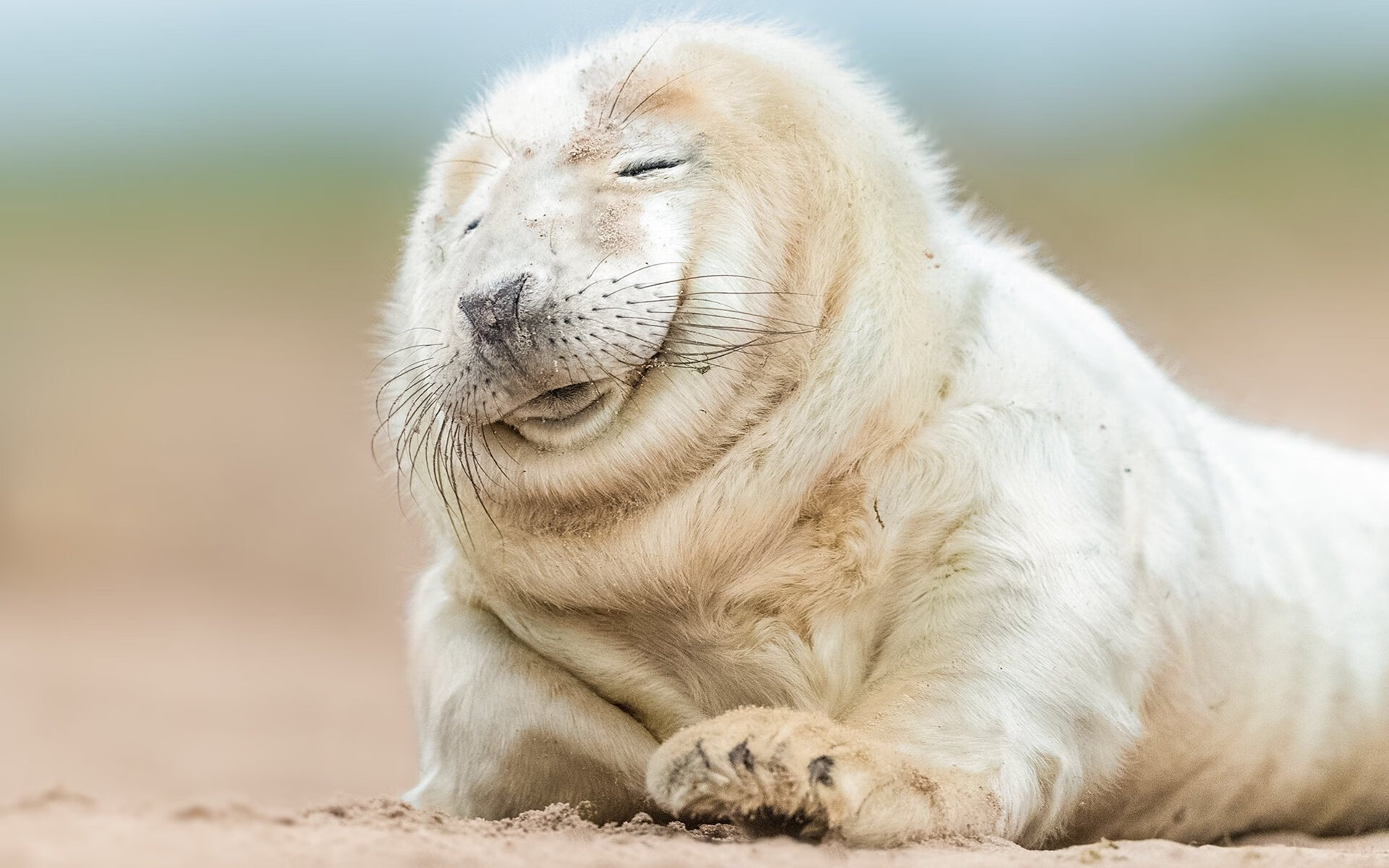 满分试卷，欧冠淘汰赛之夜，卢卡库与命运的最后博弈